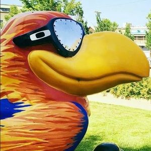 Meet your Posher, Kara